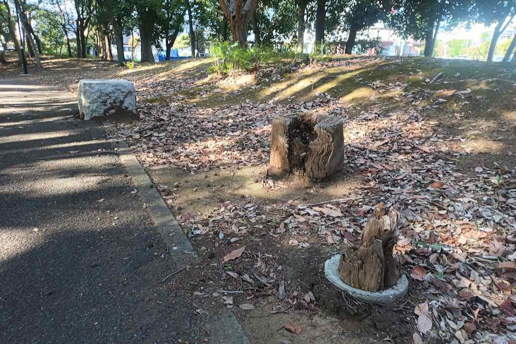 腐敗した木のベンチ 2箇所目